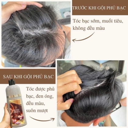 Dầu Gội Phủ Bạc Saffron - Tóc Đen Mượt Tự Nhiên, Không Hóa Chất